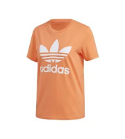 Brand New Tshirt Gucci